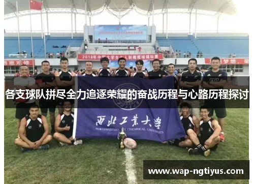 各支球队拼尽全力追逐荣耀的奋战历程与心路历程探讨